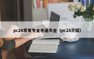 pc28常用专业术语大全（pc28介绍）