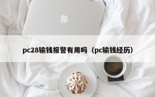 pc28输钱报警有用吗（pc输钱经历）