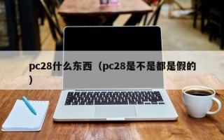 pc28什么东西（pc28是不是都是假的）