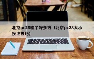 北京pc28输了好多钱（北京pc28大小投注技巧）