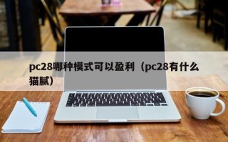 pc28哪种模式可以盈利（pc28有什么猫腻）