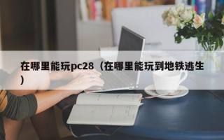 在哪里能玩pc28（在哪里能玩到地铁逃生）