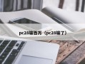 pc28输百万（pc28输了）