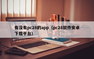 有没有pc28的app（pc28软件安卓下载平台）