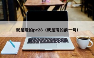 就是玩的pc28（就是玩的前一句）