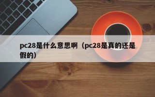 pc28是什么意思啊（pc28是真的还是假的）