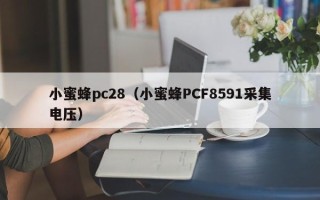 小蜜蜂pc28（小蜜蜂PCF8591采集电压）