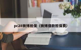 pc28微博担保（微博借款担保费）