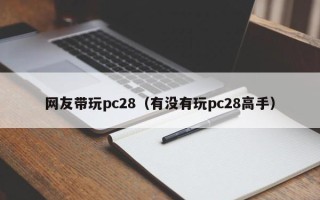 网友带玩pc28（有没有玩pc28高手）