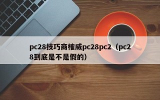 pc28技巧商榷威pc28pc2（pc28到底是不是假的）