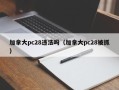 加拿大pc28违法吗（加拿大pc28被抓）