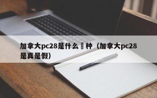 加拿大pc28是什么釆种（加拿大pc28是真是假）