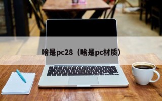 啥是pc28（啥是pc材质）