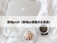 游戏pc28（游戏pc端是什么意思）