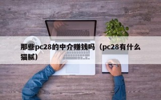 那些pc28的中介赚钱吗（pc28有什么猫腻）