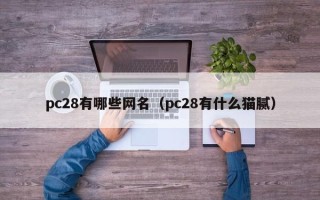 pc28有哪些网名（pc28有什么猫腻）