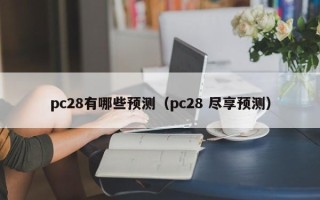 pc28有哪些预测（pc28 尽享预测）