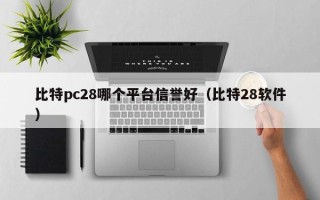 比特pc28哪个平台信誉好（比特28软件）