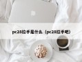 pc28拉手是什么（pc28拉手吧）