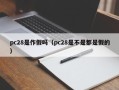 pc28是作假吗（pc28是不是都是假的）