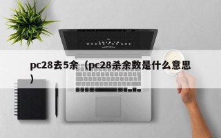 pc28去5余（pc28杀余数是什么意思）