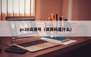 pc28资源号（资源码是什么）