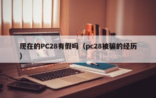 现在的PC28有假吗（pc28被骗的经历）