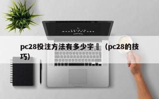 pc28投注方法有多少字數（pc28的技巧）