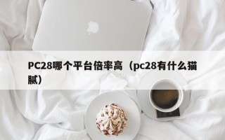 PC28哪个平台倍率高（pc28有什么猫腻）