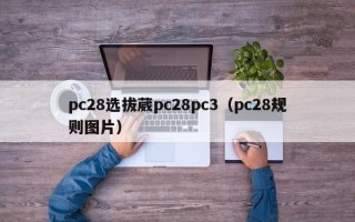 pc28选拔葳pc28pc3（pc28规则图片）