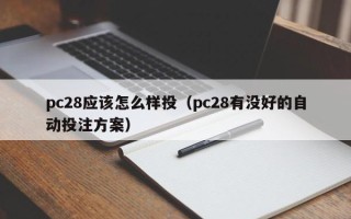 pc28应该怎么样投（pc28有没好的自动投注方案）