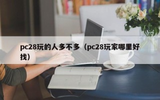 pc28玩的人多不多（pc28玩家哪里好找）