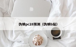 伪娘pc28预测（伪娘b站）