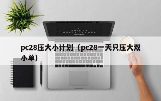 pc28压大小计划（pc28一天只压大双小单）