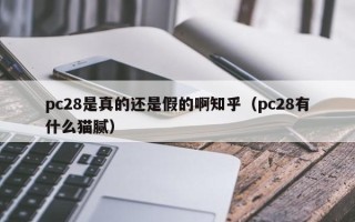 pc28是真的还是假的啊知乎（pc28有什么猫腻）