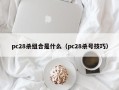 pc28杀组合是什么（pc28杀号技巧）