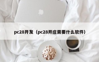 pc28开发（pc28开庄需要什么软件）