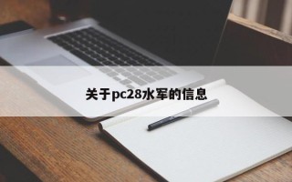 关于pc28水军的信息