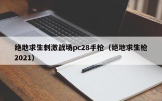 绝地求生刺激战场pc28手枪（绝地求生枪2021）