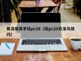 有没有高手玩pc28（玩pc28方法与技巧）