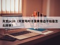 天堂pc28（天堂鸟叶子发黄焦边干枯是怎么回事）