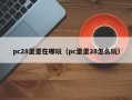 pc28蛋蛋在哪玩（pc蛋蛋28怎么玩）