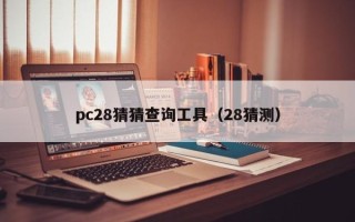 pc28猜猜查询工具（28猜测）