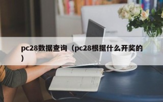 pc28数据查询（pc28根据什么开奖的）