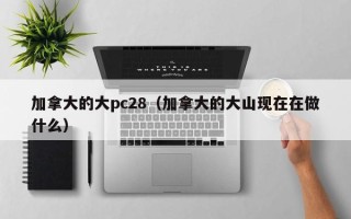 加拿大的大pc28（加拿大的大山现在在做什么）