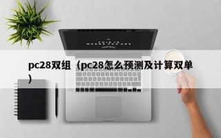 pc28双组（pc28怎么预测及计算双单）