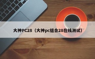 大神PC28（大神pc组合28在线测试）