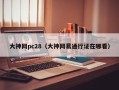 大神网pc28（大神网易通行证在哪看）