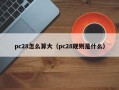 pc28怎么算大（pc28规则是什么）