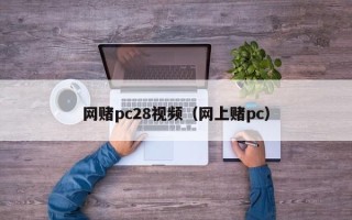 网赌pc28视频（网上赌pc）